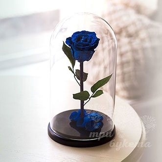 Синяя роза в колбе 26 см