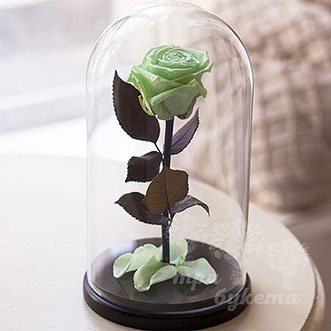 Светло-зеленая роза в колбе 26 см